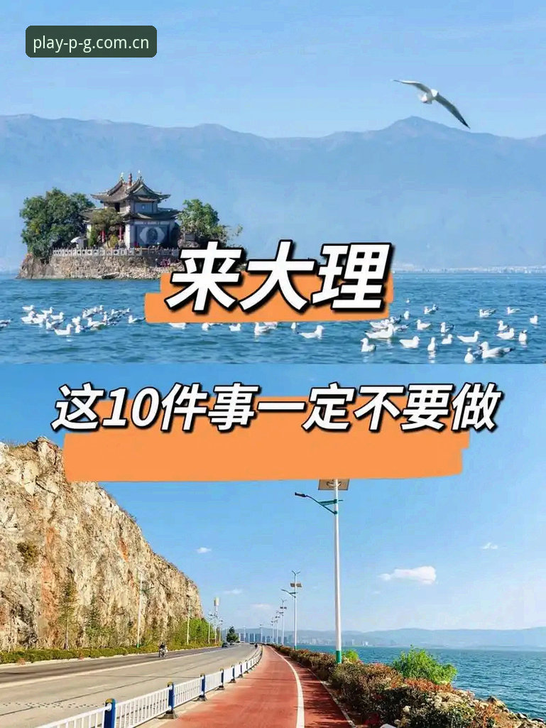 揭秘Brand PG APP下载最新版：老用户亲测避坑指南，这些坑你别踩